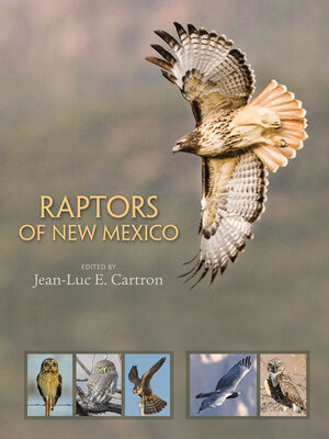 cover image of Raptors of New Mexico